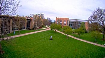 Weather camera view of Misericordia University.