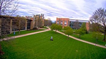 Weather camera view of Misericordia University.