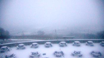 Weather camera view of Dirt Farm Brewing.