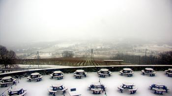 Weather camera view of Dirt Farm Brewing.