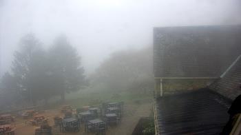 Weather camera view of Dirt Farm Brewing.