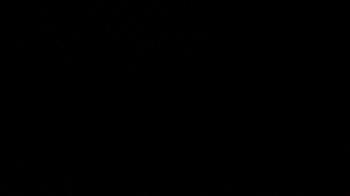 Weather camera view of Dirt Farm Brewing.