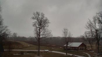 Weather camera view of Dodon Vineyards.