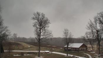 Weather camera view of Dodon Vineyards.