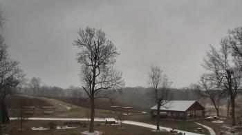 Weather camera view of Dodon Vineyards.