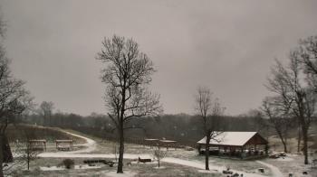 Weather camera view of Dodon Vineyards.