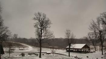 Weather camera view of Dodon Vineyards.