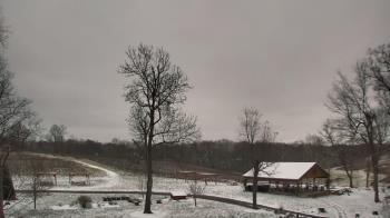 Weather camera view of Dodon Vineyards.