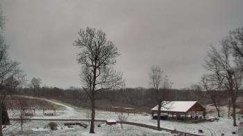 Weather camera view of Dodon Vineyards.