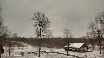 Weather camera view of Dodon Vineyards.