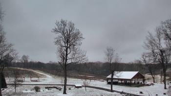 Weather camera view of Dodon Vineyards.