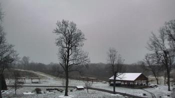 Weather camera view of Dodon Vineyards.