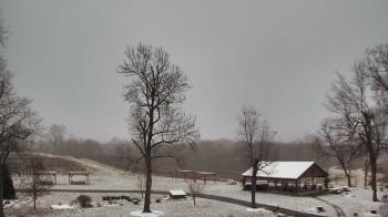 Weather camera view of Dodon Vineyards.