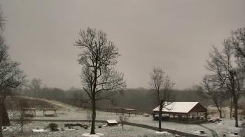 Weather camera view of Dodon Vineyards.