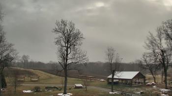 Weather camera view of Dodon Vineyards.