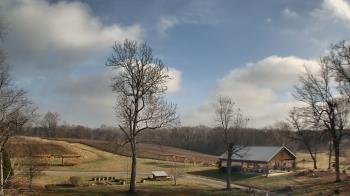 Weather camera view of Dodon Vineyards.