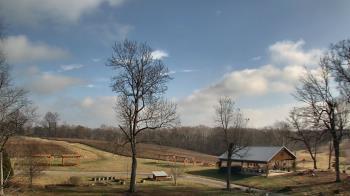 Weather camera view of Dodon Vineyards.