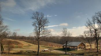 Weather camera view of Dodon Vineyards.