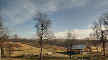 Weather camera view of Dodon Vineyards.