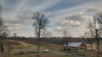 Weather camera view of Dodon Vineyards.