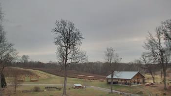 Weather camera view of Dodon Vineyards.