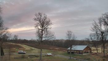 Weather camera view of Dodon Vineyards.