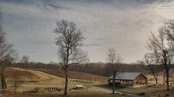 Weather camera view of Dodon Vineyards.