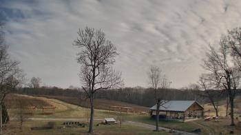 Weather camera view of Dodon Vineyards.