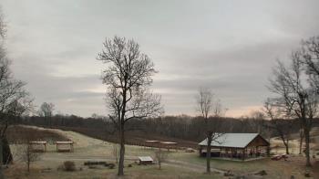 Weather camera view of Dodon Vineyards.