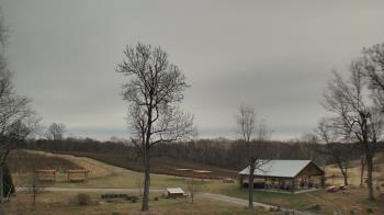 Weather camera view of Dodon Vineyards.