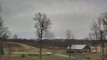 Weather camera view of Dodon Vineyards.