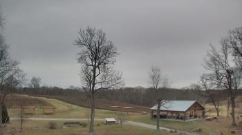 Weather camera view of Dodon Vineyards.