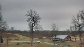 Weather camera view of Dodon Vineyards.