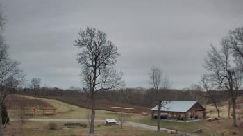 Weather camera view of Dodon Vineyards.