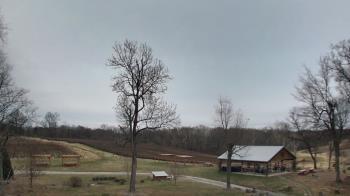 Weather camera view of Dodon Vineyards.