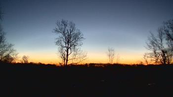 Weather camera view of Dodon Vineyards.