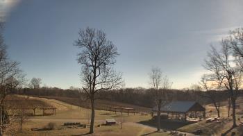 Weather camera view of Dodon Vineyards.