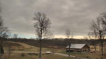 Weather camera view of Dodon Vineyards.