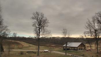 Weather camera view of Dodon Vineyards.