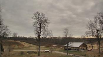 Weather camera view of Dodon Vineyards.