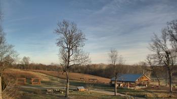 Weather camera view of Dodon Vineyards.