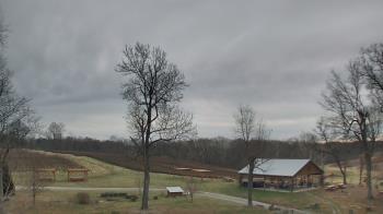 Weather camera view of Dodon Vineyards.