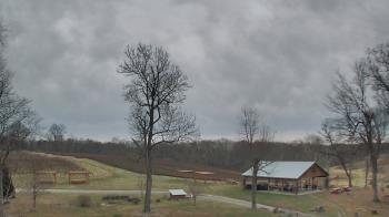 Weather camera view of Dodon Vineyards.