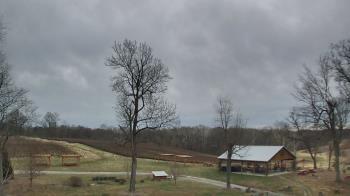 Weather camera view of Dodon Vineyards.