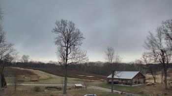 Weather camera view of Dodon Vineyards.