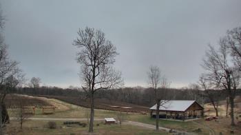 Weather camera view of Dodon Vineyards.