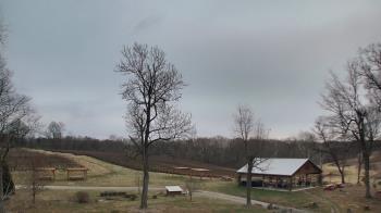 Weather camera view of Dodon Vineyards.