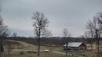 Weather camera view of Dodon Vineyards.