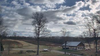 Weather camera view of Dodon Vineyards.