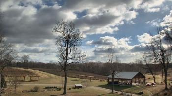 Weather camera view of Dodon Vineyards.